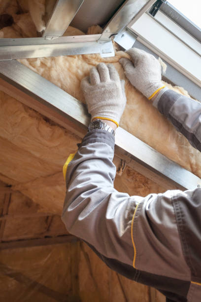 Best Types of Insulation in USA